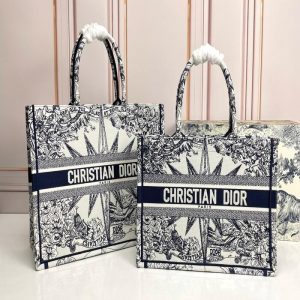 Christian Dior Book Tote Bag | Chicly Hub