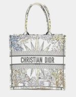 Christian Dior Book Tote Bag | Chicly Hub