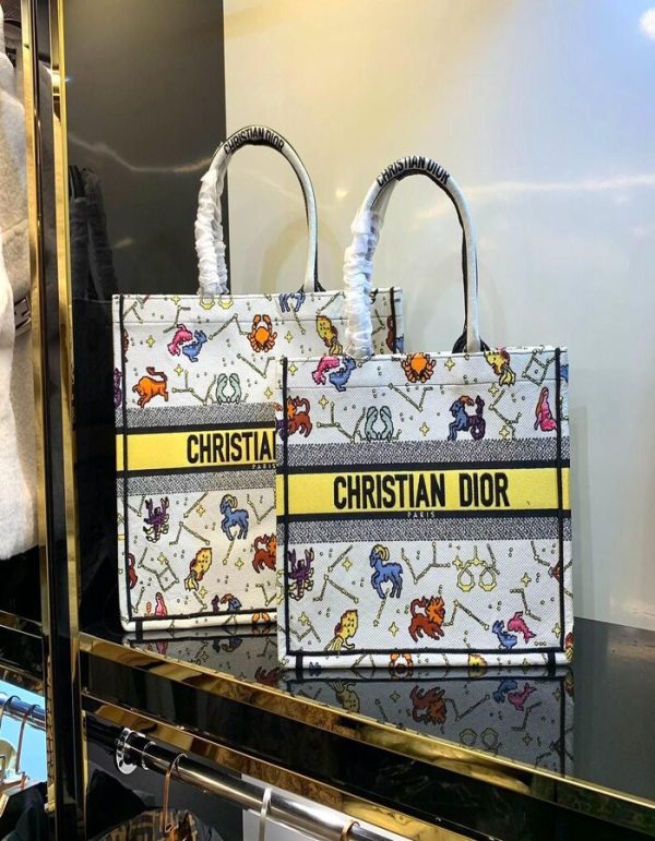 Christian Dior Book Tote Bag | Chicly Hub