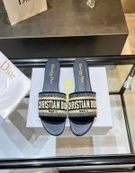 Dior Paris Dye Embroidered Logo Slide Mule Flat Slipper Sandal | Chicly Hub